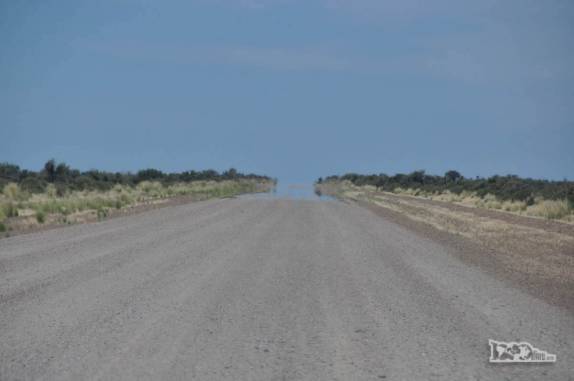 As rústicas estradas da Península Valdés, no litoral da  patagônia argentina